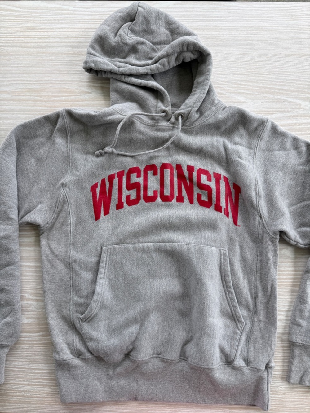 University of Wisconsin Champion Hoodie
